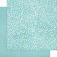 Graphic 45 Wild & Free 12x12 Inch Patterns & Solids Pack (4502406)